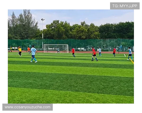 绿色赛场上的激情与荣耀探索足球运动背后的团队精神与奋斗故事