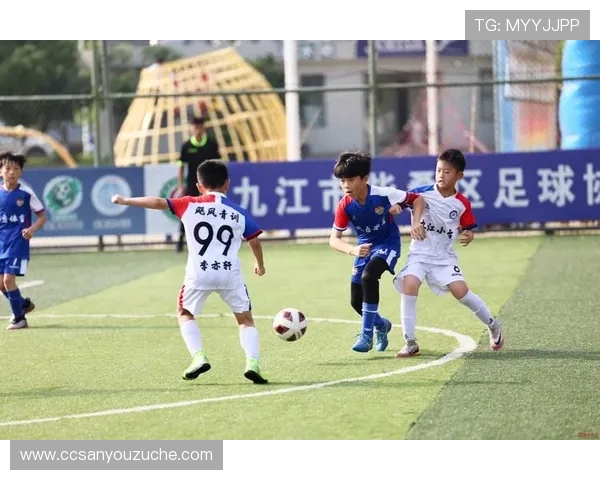 足球激情碰撞世界梦想，跨越国界的竞技盛宴与文化交流之旅