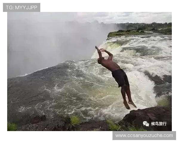 从惊心动魄到优雅入水探寻跳水运动背后的力量与艺术