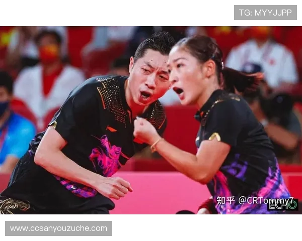 乒乓球团队协作实力大比拼上海乒乓球队荣登第五名榜单