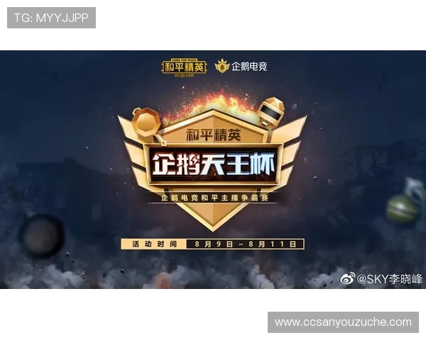 和平精英战术解析：深入了解WE战队的默契配合与战斗策略