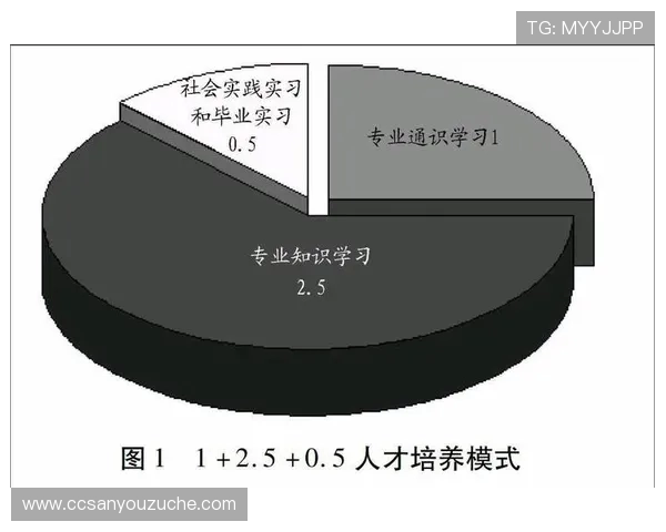 武汉篮球队的精神探索与成长之路揭秘篮球巨献