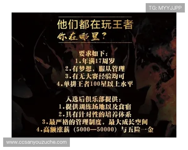 王者荣耀V5战队灵活性揭秘：战术创新与团队协作的完美结合