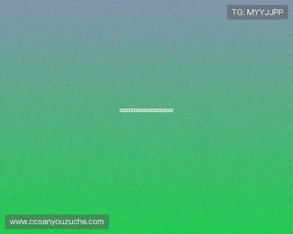 西安滑板队勇攀高峰精英赛背后的奋斗与荣耀故事