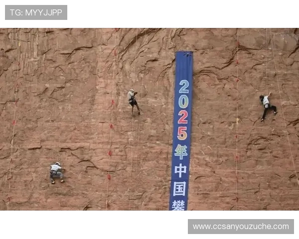 赛后分析：上海攀岩队与西安攀岩队的默契配合与战术探讨
