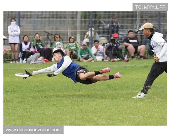 赛后分析：北京飞盘队与武汉飞盘队的战术配合与表现评估