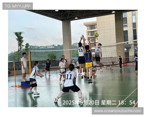 重庆排球队的默契配合与战术探讨聚焦排球的团队精神与协作之道