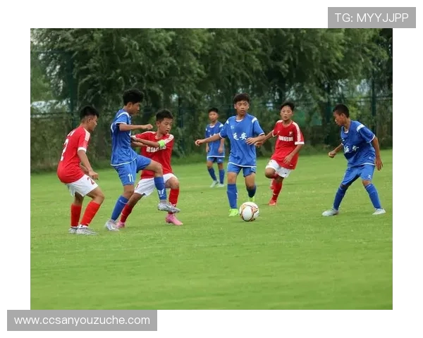 从绿茵激情到战术思维全面解析现代足球竞技魅力风采与文化传承韵