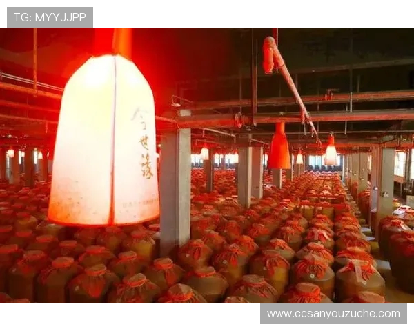 南京头排苏酒巅峰对阵引爆江南酒坛风云再掀品质新篇章