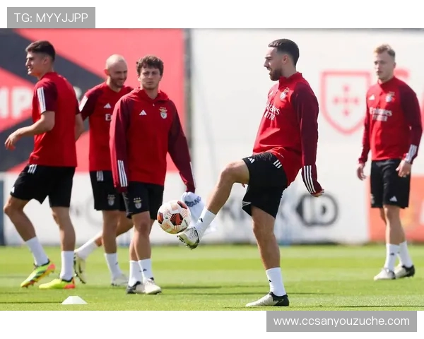 本菲卡足球俱乐部历史辉煌与未来展望解析