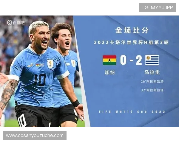 努涅斯的崛起与挑战：从新星到足球界的焦点球员之路