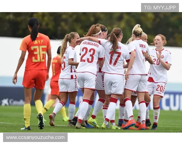 女足精彩对决尼日利亚全场回放与精彩瞬间解析